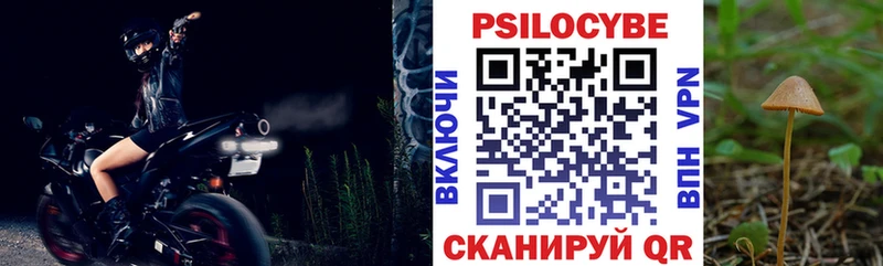 сколько стоит Ногинск mega рабочий сайт Псилоцибиновые грибы Psilocybe
